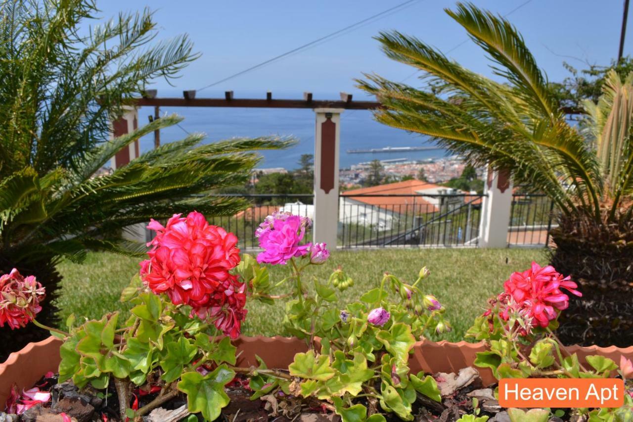 Villa Henriques Funchal Dış mekan fotoğraf